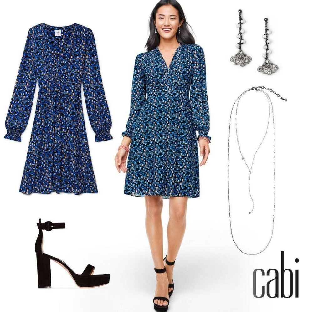 Cabi The Ten Dress